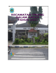 Kecamatan Tikung Dalam Angka 2011