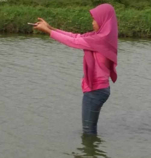 Libur-libur menyelam di area tambak ikan melakukan survei KSA, menjaga Data yang berkualitas. 