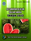 Kecamatan Bluluk Dalam Angka 2013