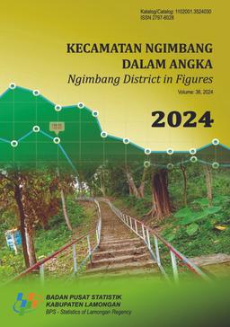 Ngimbang District In Figures 2024