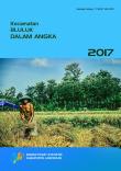 Kecamatan Bluluk Dalam Angka 2017