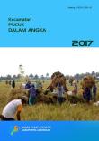 Kecamatan Pucuk Dalam Angka 2017