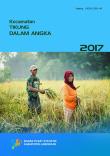 Kecamatan Tikung Dalam Angka 2017