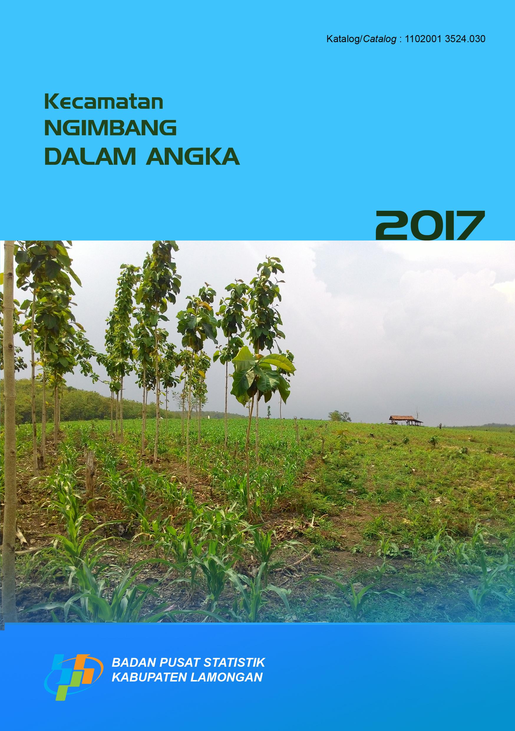 Ngimbang Subdistrict in Figures 2017