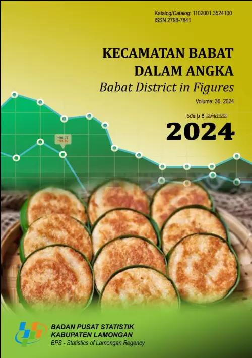 Babat District in Figures 2024